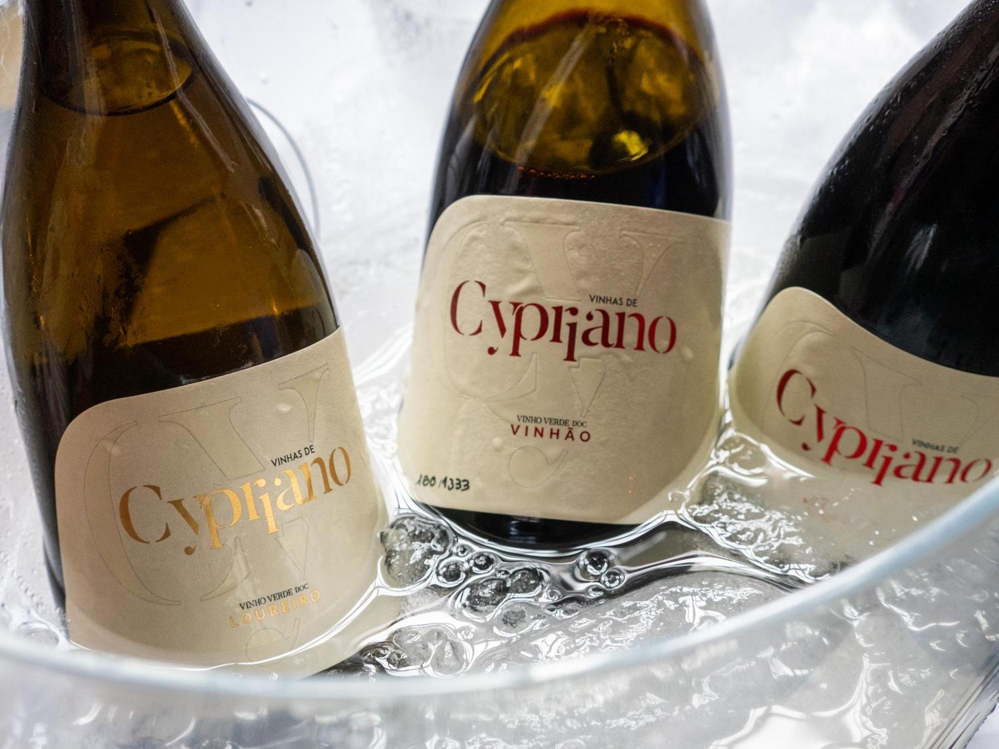 Quinta De Cypriano - Wine & Nature 蓬蒂-达巴尔卡 外观 照片