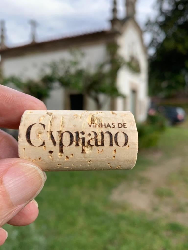 Quinta De Cypriano - Wine & Nature 蓬蒂-达巴尔卡 外观 照片