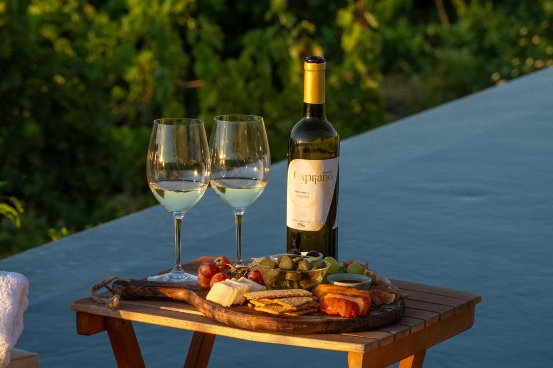 Quinta De Cypriano - Wine & Nature 蓬蒂-达巴尔卡 外观 照片