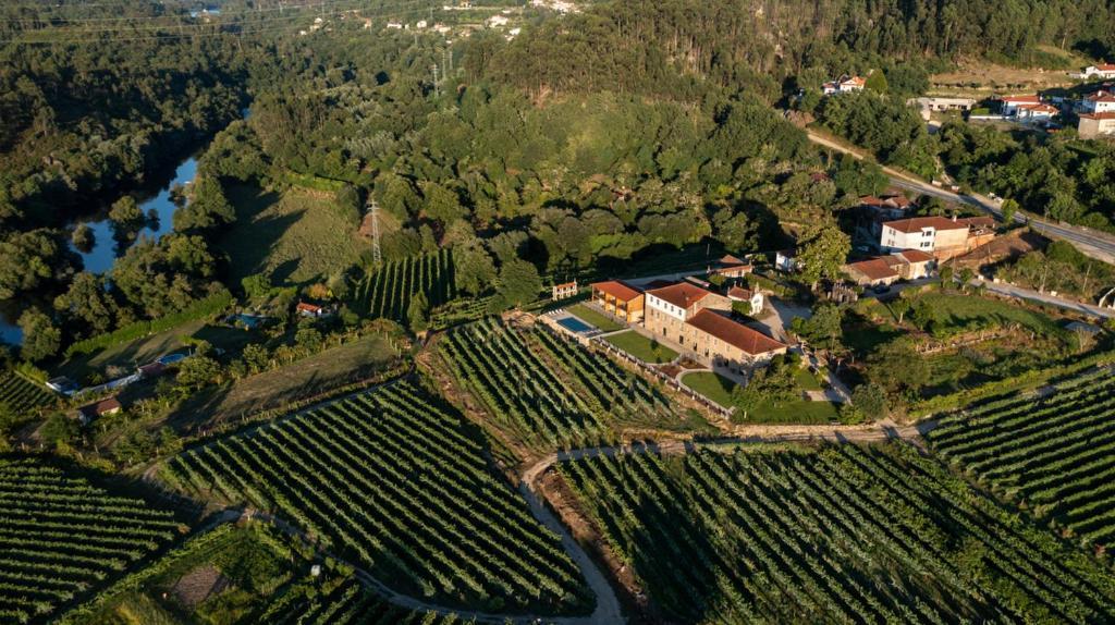 Quinta De Cypriano - Wine & Nature 蓬蒂-达巴尔卡 外观 照片
